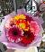 Букет цветов из: Герберы в Демино
