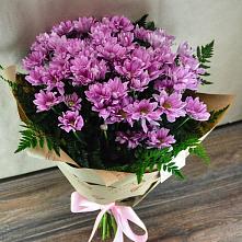 Букет цветов из:  Хризантемы #REPLACE_PRED# Демино