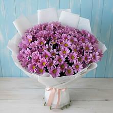 Букет цветов из:  Хризантемы #REPLACE_PRED# Демино