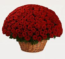 Премиум букет из: Розы в Демино