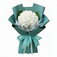 Букет цветов из:  Гортензия в Демино